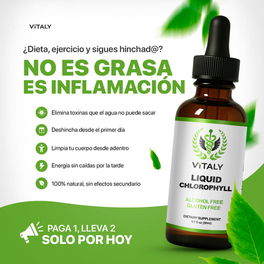 Gotas de Clorofila | Reductor de inflamación