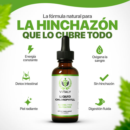 Gotas de Clorofila | Reductor de inflamación