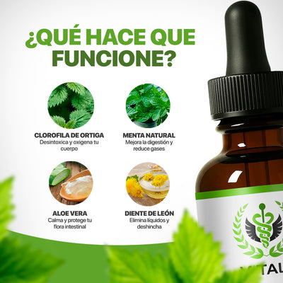 Gotas de Clorofila | Reductor de inflamación