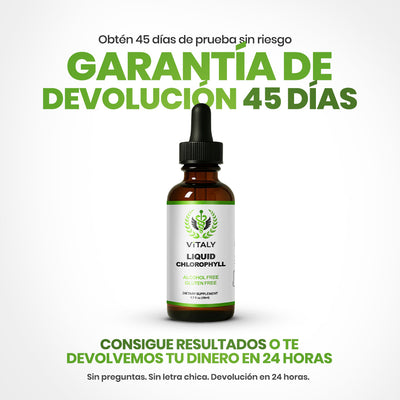 Gotas de Clorofila | Reductor de inflamación